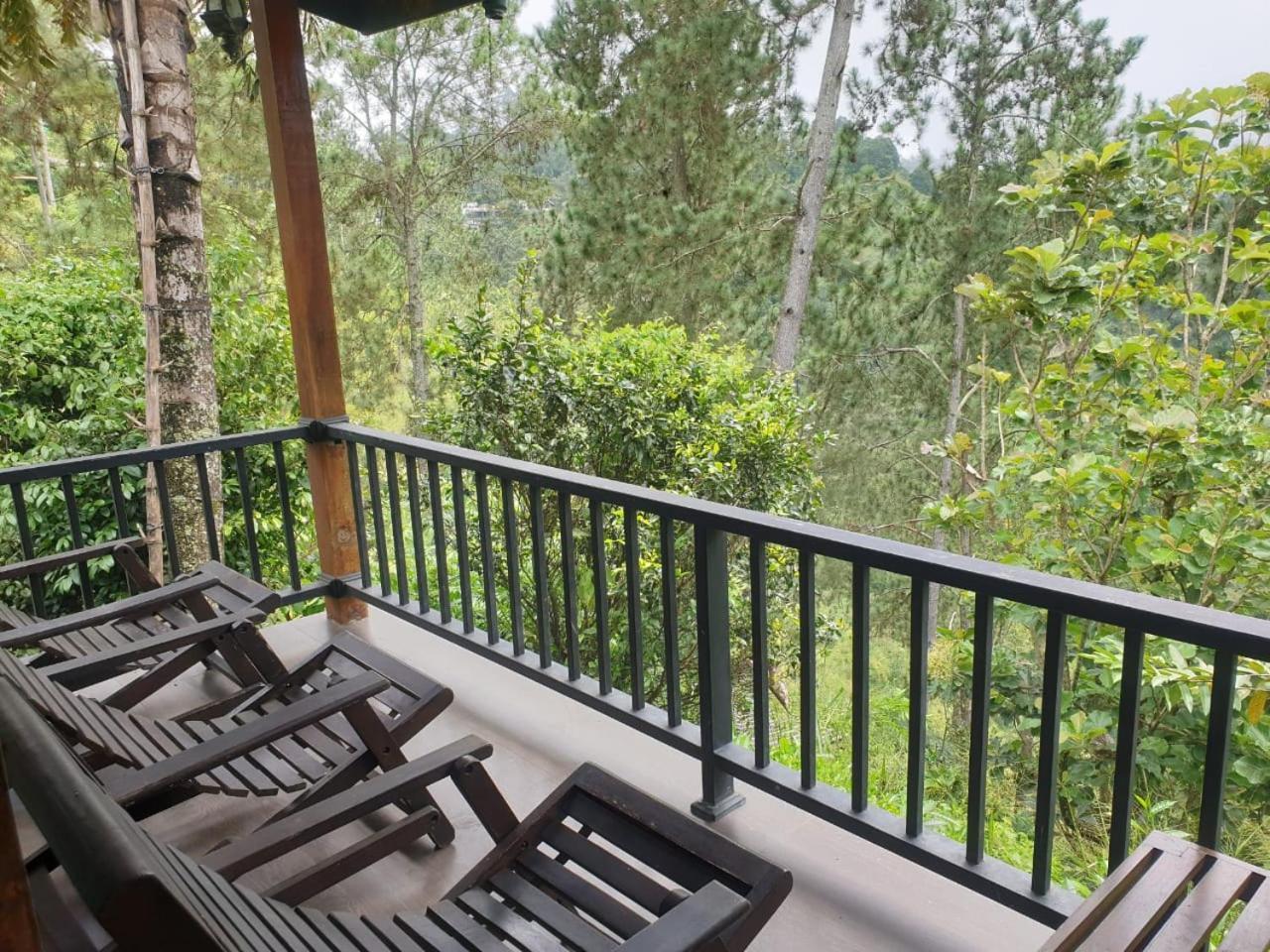 Ella Mount Relax Cottage Dış mekan fotoğraf