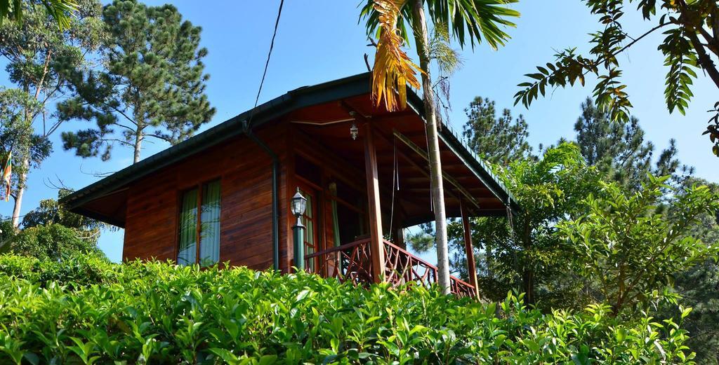 Ella Mount Relax Cottage Dış mekan fotoğraf